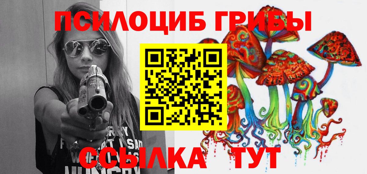 Галлюциногенные грибы Psilocybe  Вход с VPN  Псилоцибиновые грибы Psilocybine cubensis  Дубна 