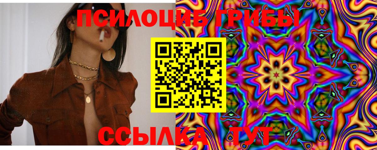 Галлюциногенные грибы прущие грибы Дубна